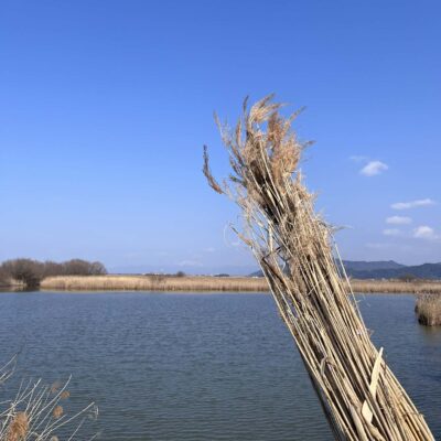 bac3f57c-64f3-47a4-a7b9-d47ac1ad25de bac3f57c-64f3-47a4-a7b9-d47ac1ad25de